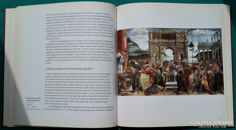 Rappai Zsuzsa: Botticelli - Világhíres festők - Művészetek > Festészet > Albumok >