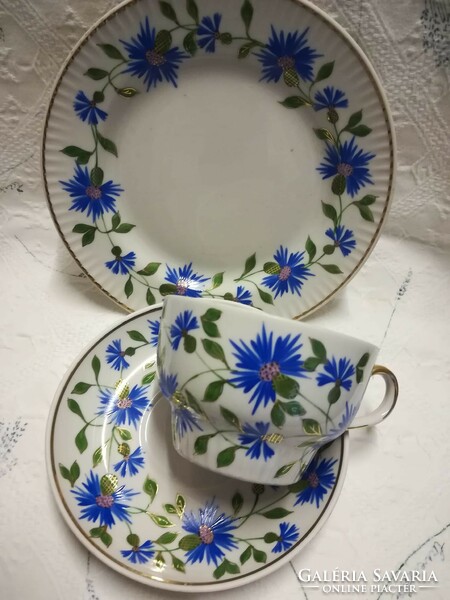 Porcelain tea set with cornflower pattern