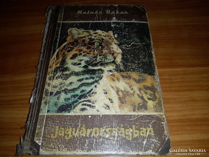 Gábor Molnár - in jaguarland book