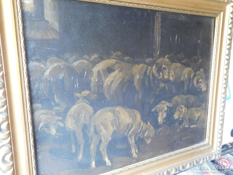 25. János Viski (1891-1987) sheep