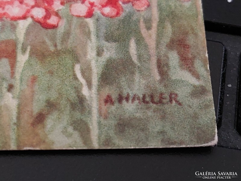 Régi virágos képeslap A. Haller levelezőlap