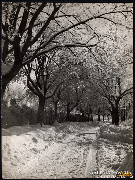 Larger size, photo art work by István Szendrő. Winter landscape with snowy trees, 1930s. Origin