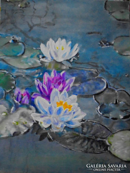 Water lilies - Teodora Jacsó