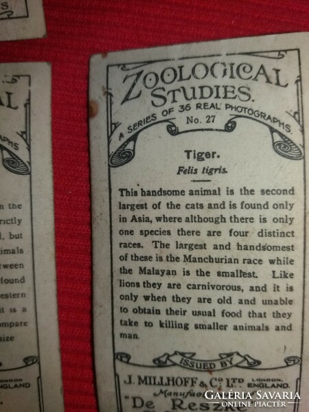 Antik 1930 gyűjthető VEGYES cigaretta reklámkártyák LONDON állatkert ZOO egyben 26.