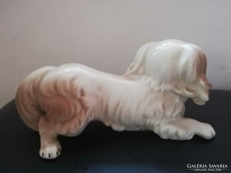 Arpo is a large porcelain dog