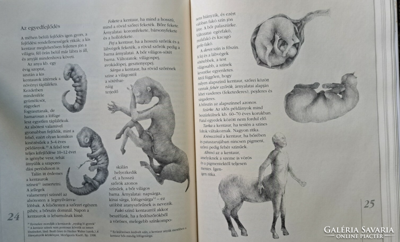 Dedikált A kentaur természetrajza (Makovecz Béni)