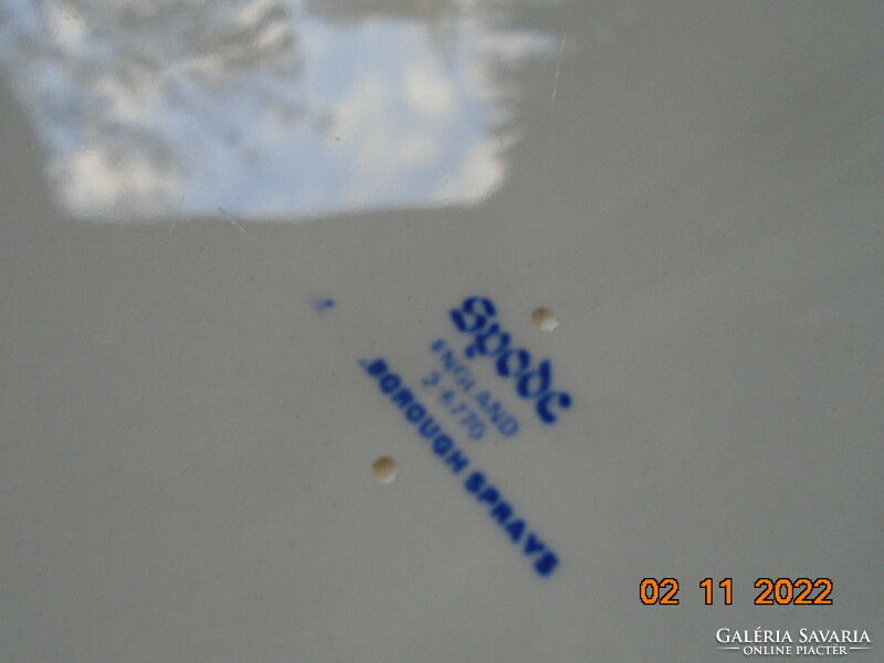 Spode marlborough sprays plate with a spectacular flower pattern 22 cm