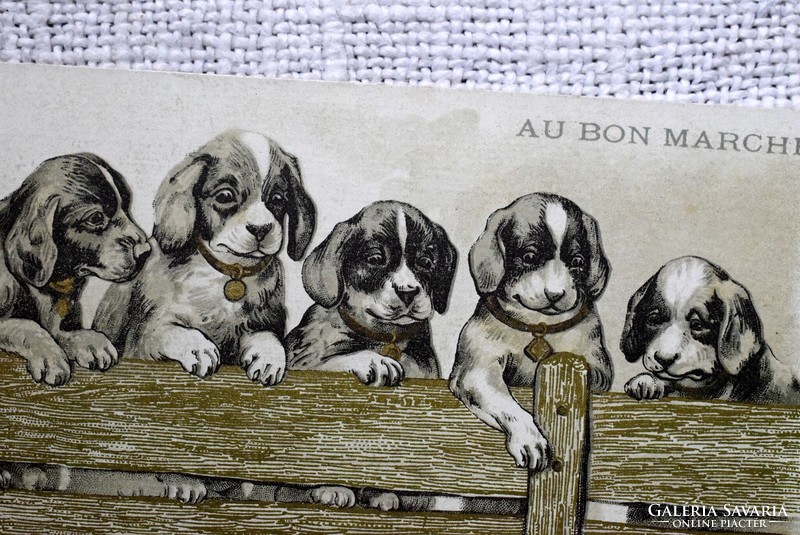 Antik grafikus litho nem képeslap / kutyus kerítés - hátoldala Le Bon Marché áruház reklám