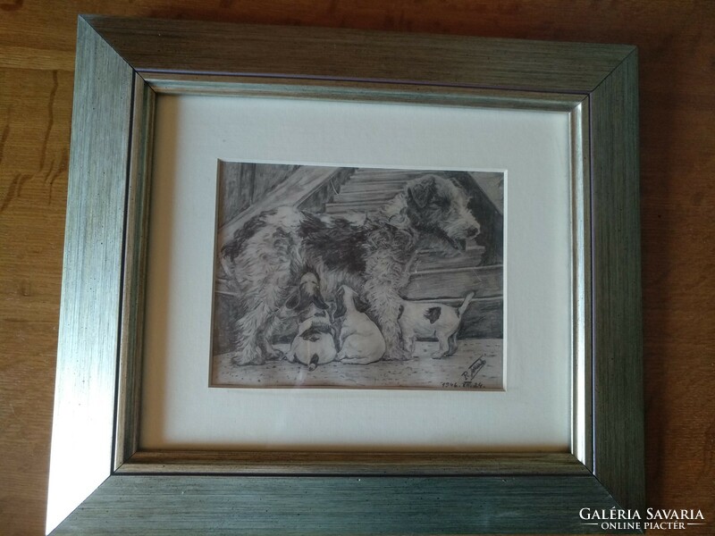 Pencil drawing, dog family, signed, in new frame, negotiable