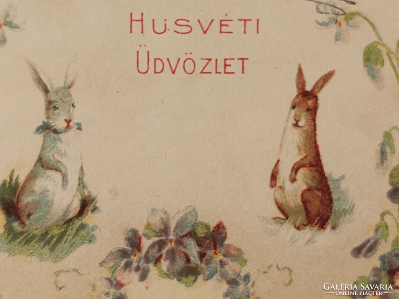 Old Easter postcard 1901 postcard with bunnies