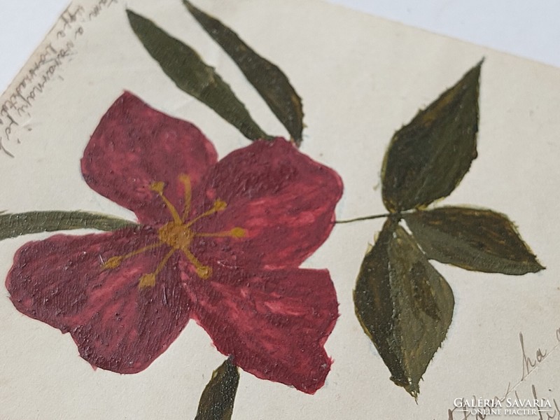 Régi virágos képeslap 1899