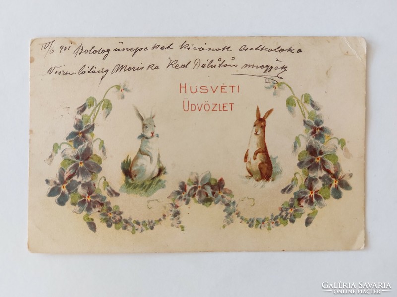 Régi húsvéti képeslap 1901 levelezőlap nyuszik