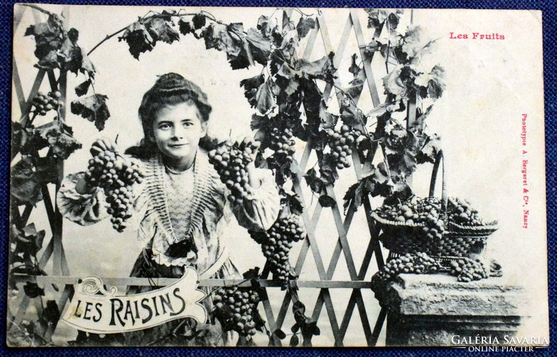 Antique Bergeret photo postcard with little girl grapes