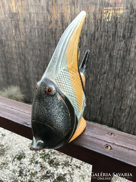 Tile fish are large in size