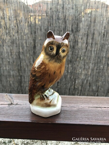 Ceramic owl.