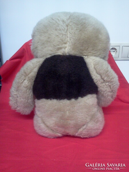 Toy teddy bear 50 cm