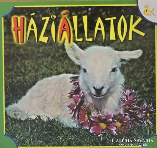 Domestic animals hardback hardcover educational book for children