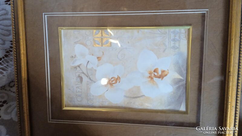 1 pár Aranyszínnel kép keret paszpartúval  a kép benne ajándék
