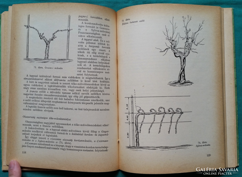 Treasured books - Pál Csepreg: pruning the vine > viticulture, winemaking > viticulture