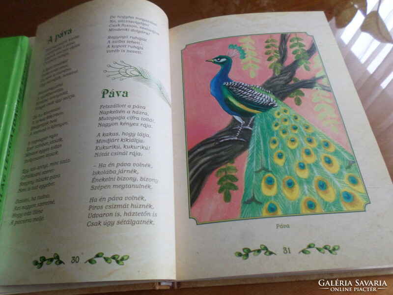 Pósa bácsi Madaras könyv Négy évszak madárversei gyerekeknek Illusztrálja Gábor Emese, 2012