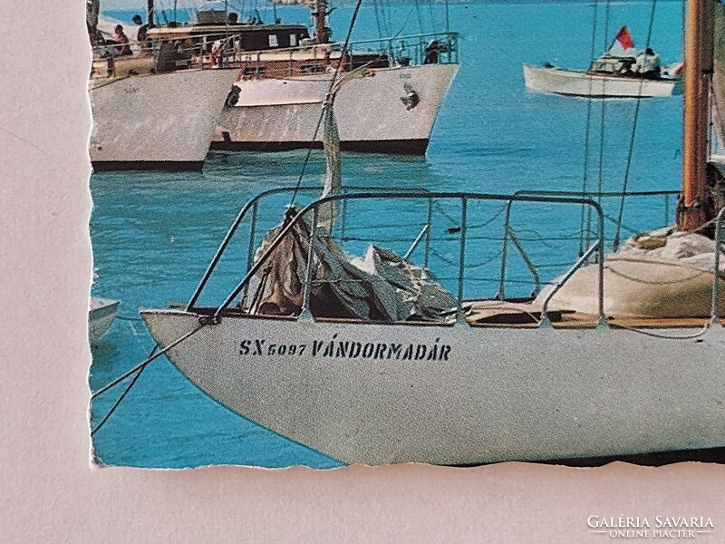 Old postcard 1970 Balaton photo postcard migratory bird sailing ship