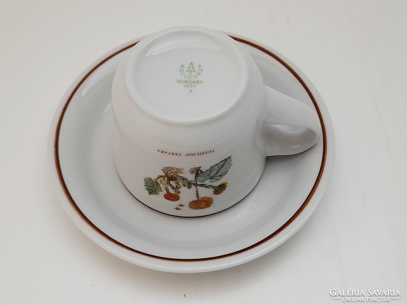 Hollóháza botanical coffee cup, tussilago farfara, martilapu