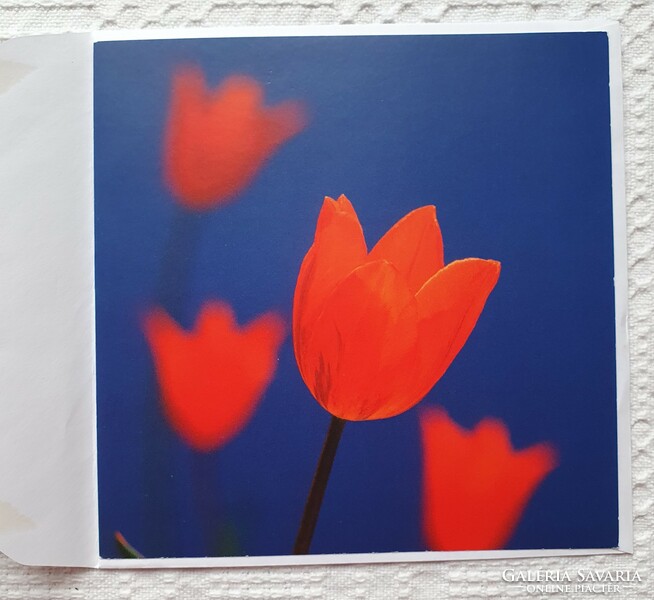 Képeslap borítékkal üdvözlőlap üdvözlőkártya levelezőlap postatiszta tulipán virág mintával