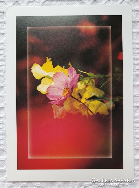 Képeslap üdvözlőlap üdvözlőkártya levelezőlap postatiszta virág mintával