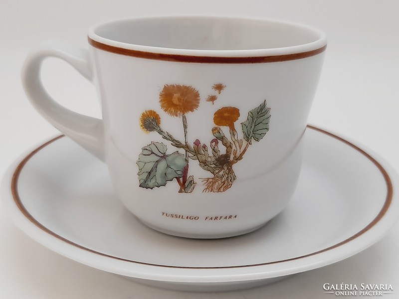 Hollóházi botanika mintás kávés csésze, tussilago farfara, martilapu