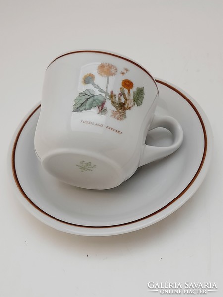 Hollóháza botanical coffee cup, tussilago farfara, martilapu