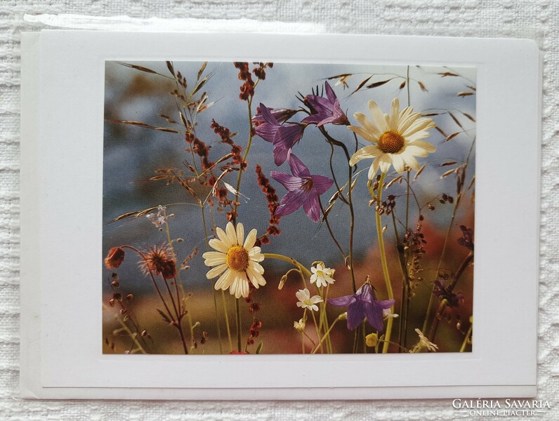 Képeslap borítékkal üdvözlőlap üdvözlőkártya levelezőlap postatiszta mezei virág mintával