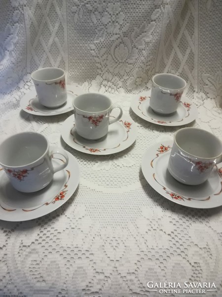 Alföldi porcelain mocha cup with rosehip pattern