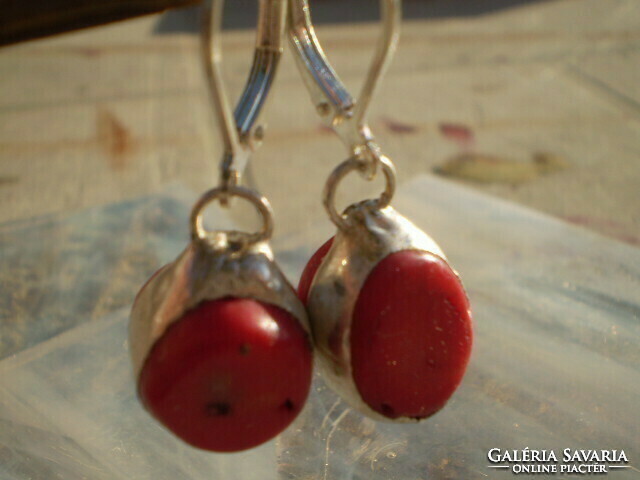 Real coral earrings with silver clip socket, flat, oval