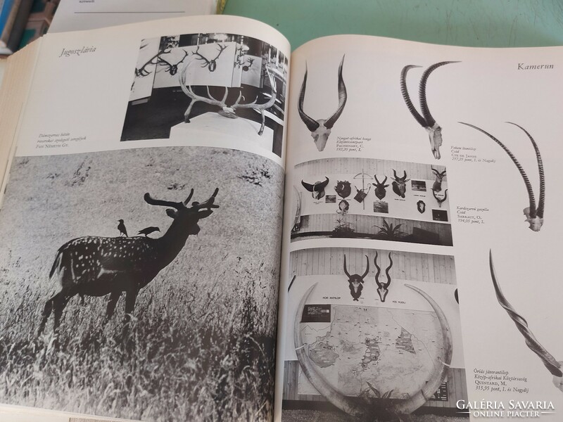 World Hunting Exhibition 1971. Only 5150 copies. HUF 8,900