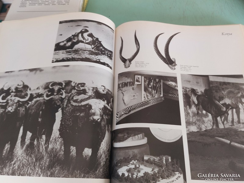 World Hunting Exhibition 1971. Only 5150 copies. HUF 8,900