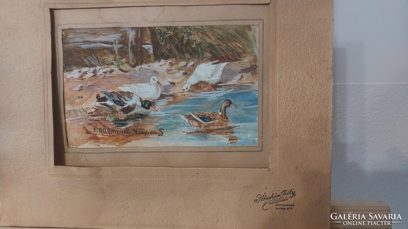 (K) wild ducks cups s. Painting 29x35 cm with mount
