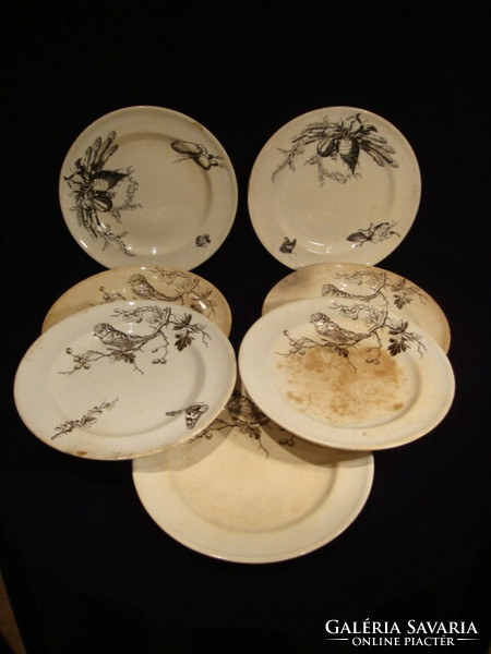7 db Antik MINTON tányér az 1800-as évekből