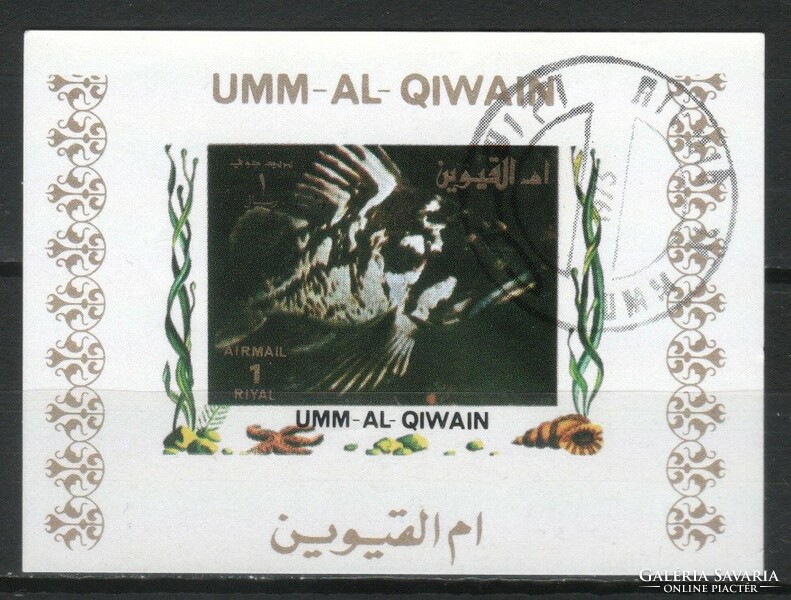 Halak, vízi élőlények 0011 (Umm-al Qiwain)