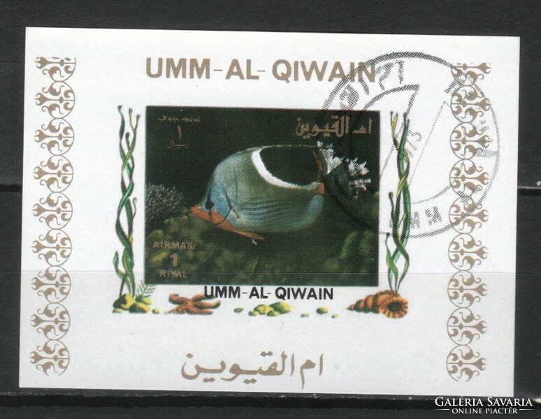 Fish and aquatic organisms 0009 (umm-al qiwain)