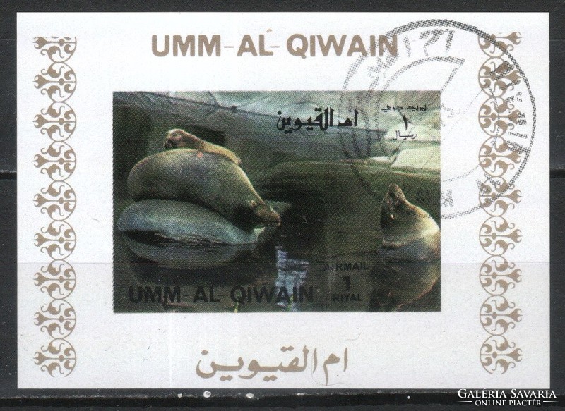 Halak, vízi élőlények 0008 (Umm-al Qiwain)