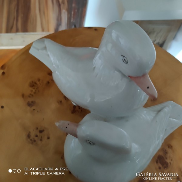 Extrém ritka Hollóházi kacsapár  (porcelán kiárusítás)