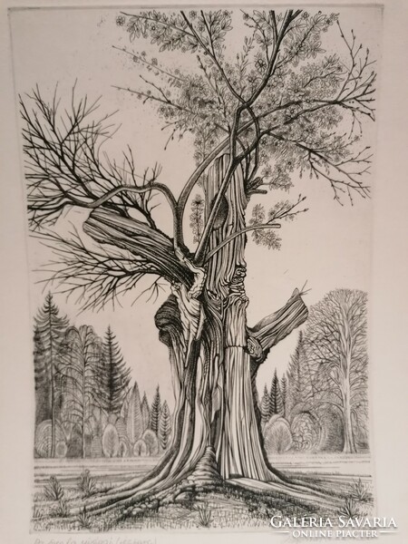 Iván Zsigovics, 1986, the flowers of the old tree, etching