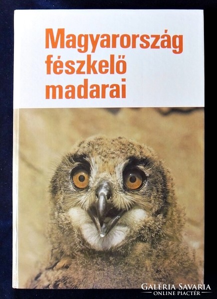 Magyarország fészkelő madarai