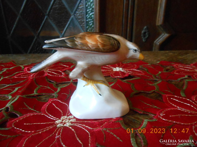Aquincum porcelain hawk