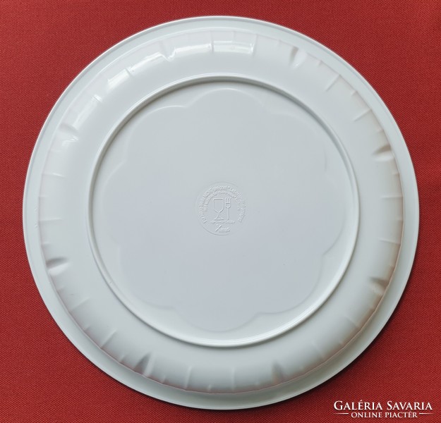 Christmas Santa plastic tray plate serving bowl