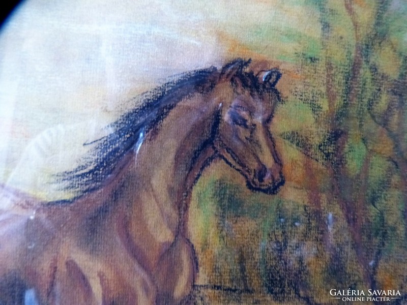 zita Zvolszky - painting / horse.