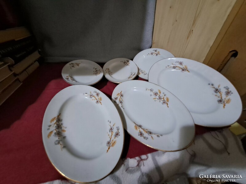 Porcelain plate set oval