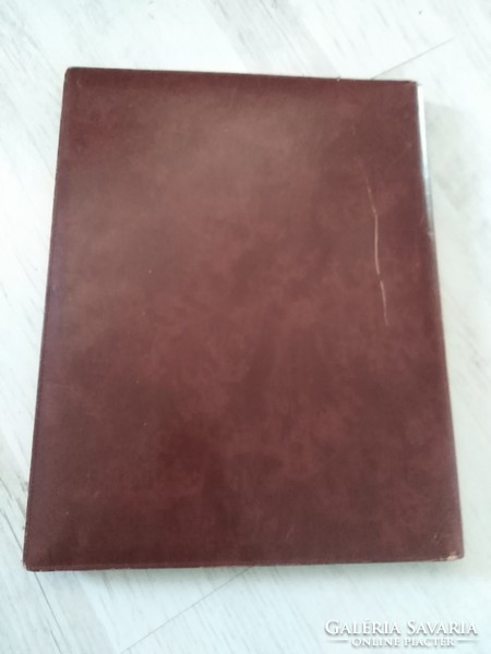 Genuine leather - file holder, folder