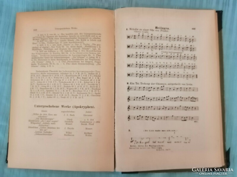 A zenetörténet vázlata, 1918, német nyelvű, idegen nyelvű, antik, régi.