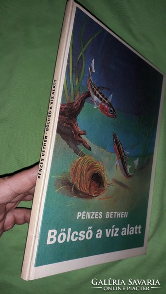 1984.Pénzes Bethen :Bölcső a víz alatt mese könyv a képek szerint MÓRA